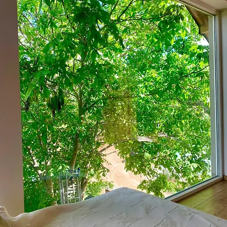 Orzechowy Superior アパート *